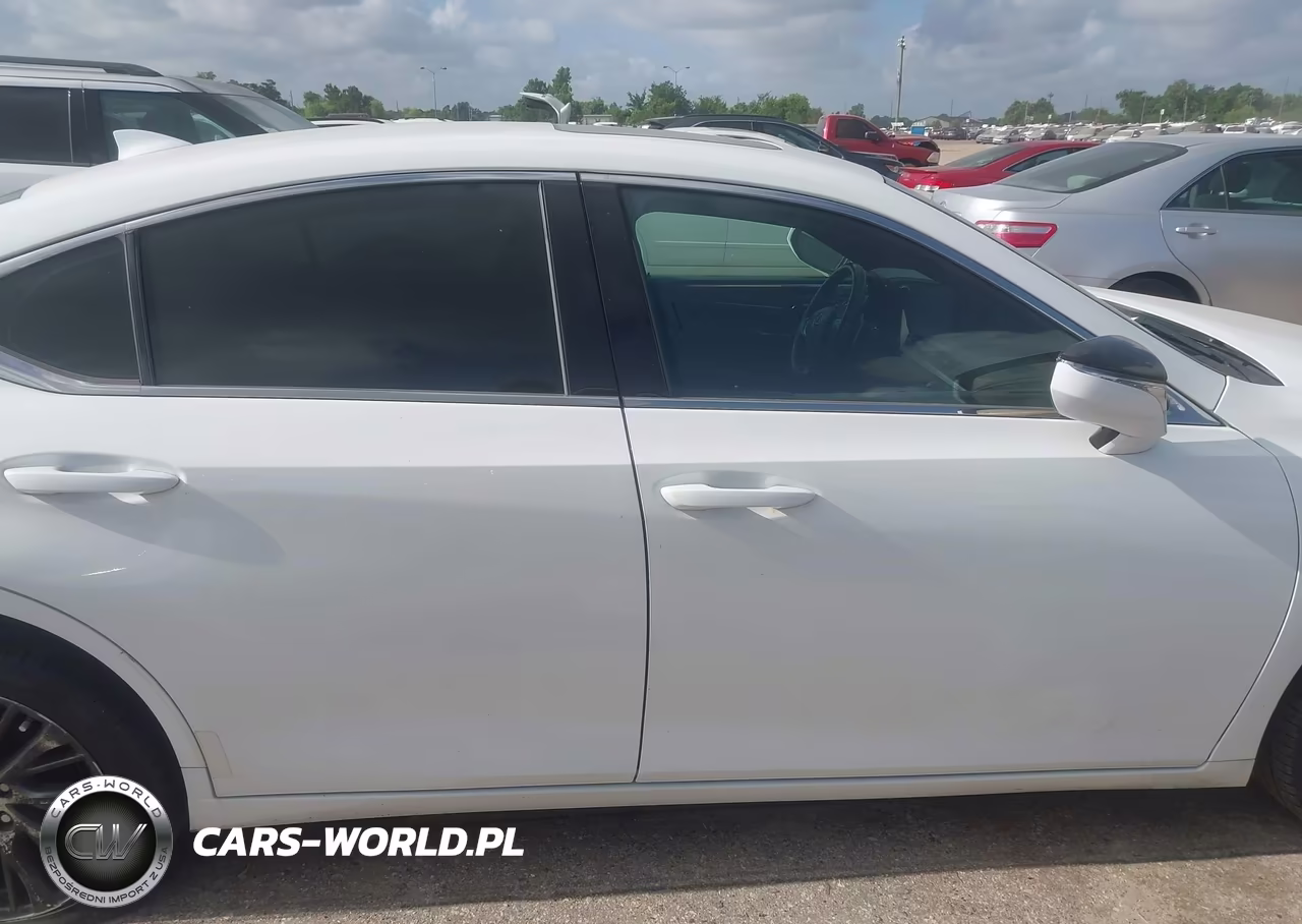 2019 Lexus Es 350 F Sport VIN:58ABZ1B11KU018954 - 13