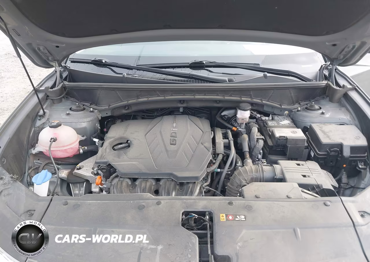 2024 Hyundai Tucson Limited VIN:5NMJECDE6RH374137 - 10