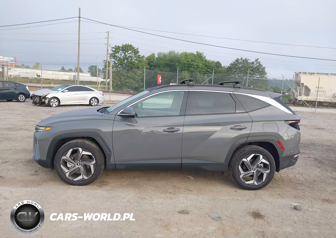 2024 Hyundai Tucson Limited VIN:5NMJECDE6RH374137 - 14