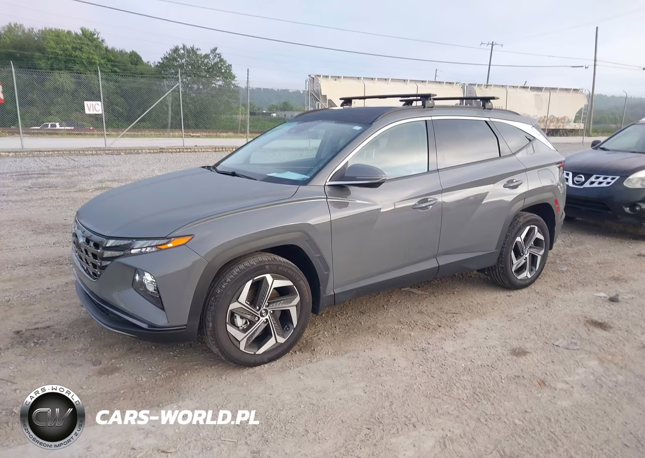 2024 Hyundai Tucson Limited VIN:5NMJECDE6RH374137 - 2