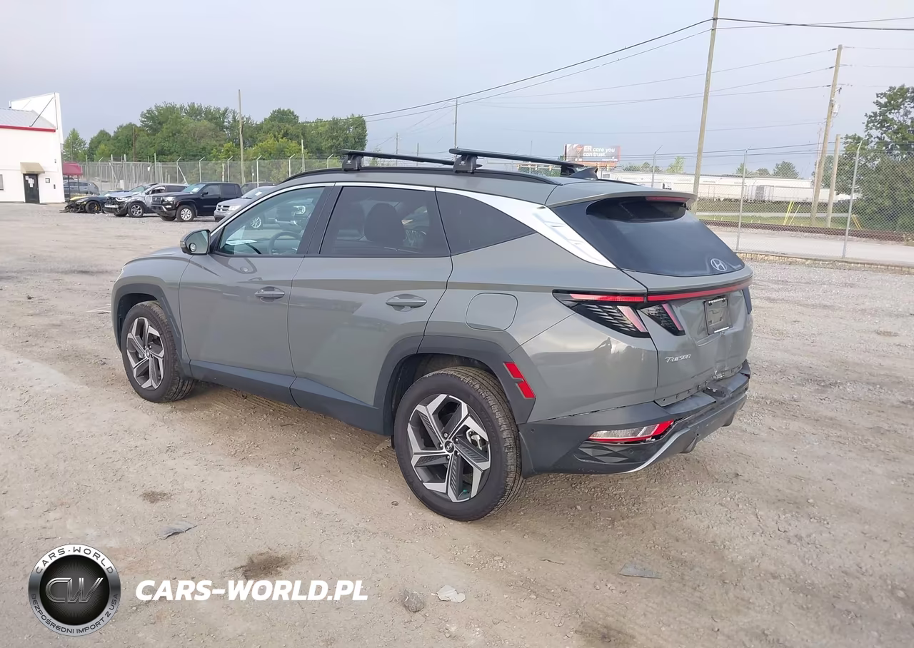 2024 Hyundai Tucson Limited VIN:5NMJECDE6RH374137 - 3