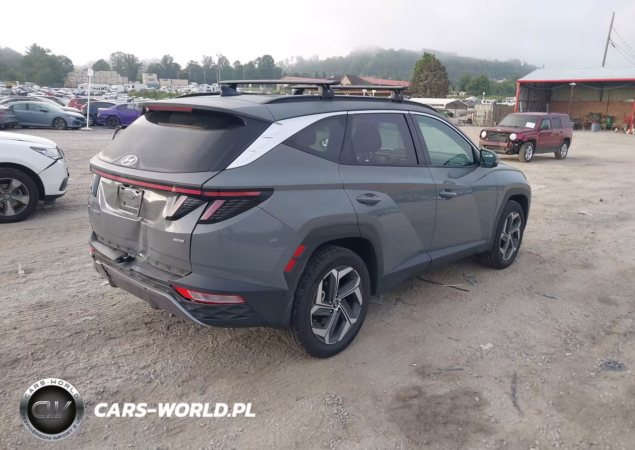2024 Hyundai Tucson Limited VIN:5NMJECDE6RH374137 - 4