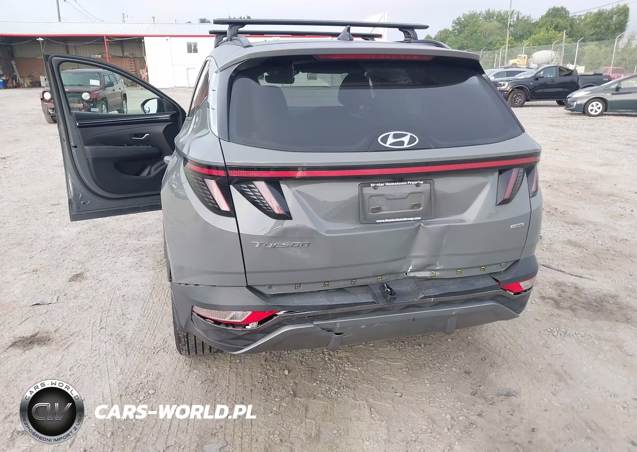 2024 Hyundai Tucson Limited VIN:5NMJECDE6RH374137 - 6