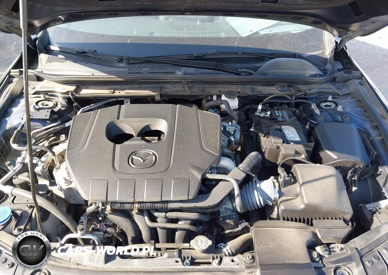 2025 Mazda Mazda3 2.5 S Preferred VIN:3MZBPACM5SM461460 - 10