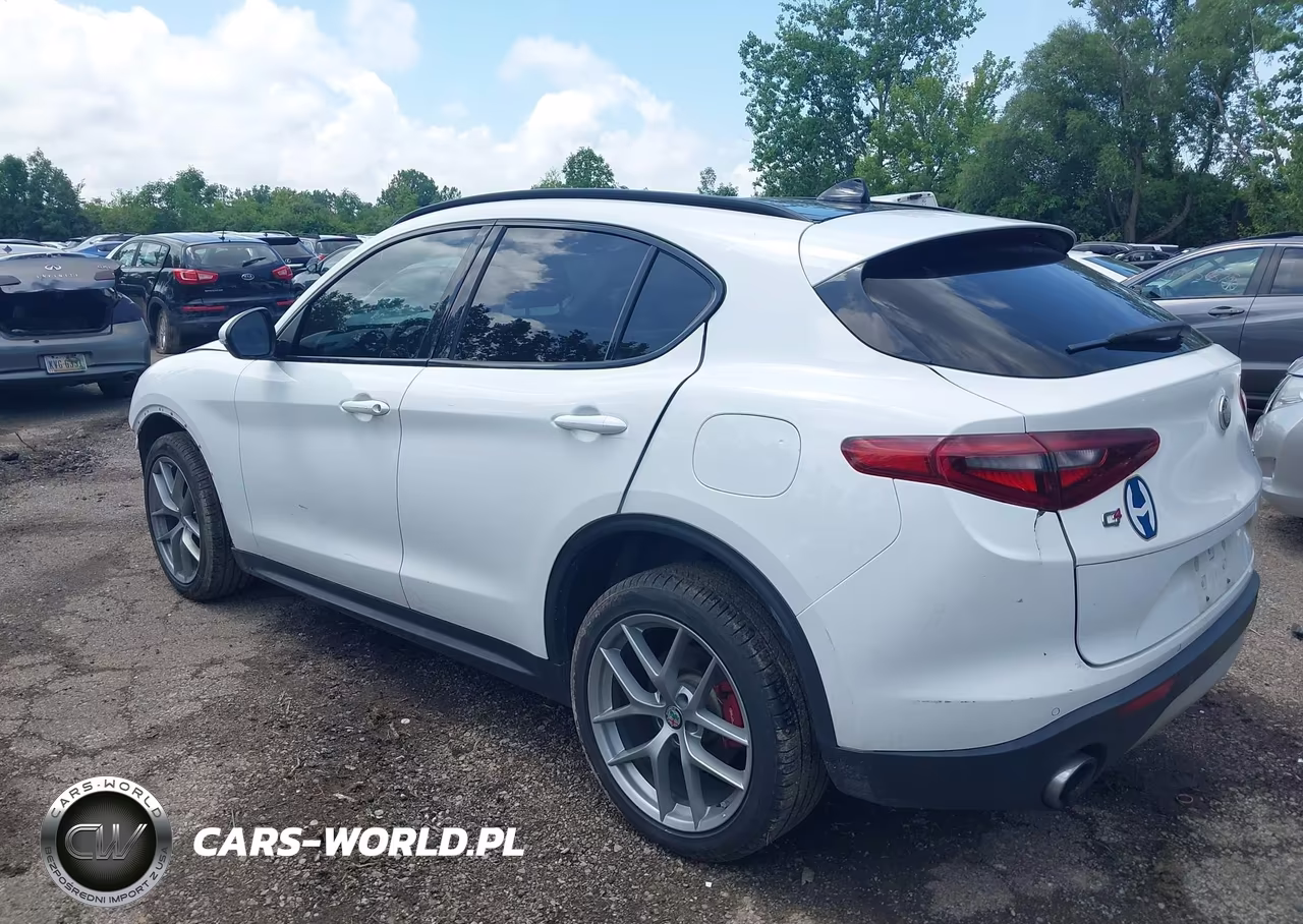 2018 Alfa Romeo Stelvio Sport Awd VIN:ZASFAKPN7J7B86964 - 14