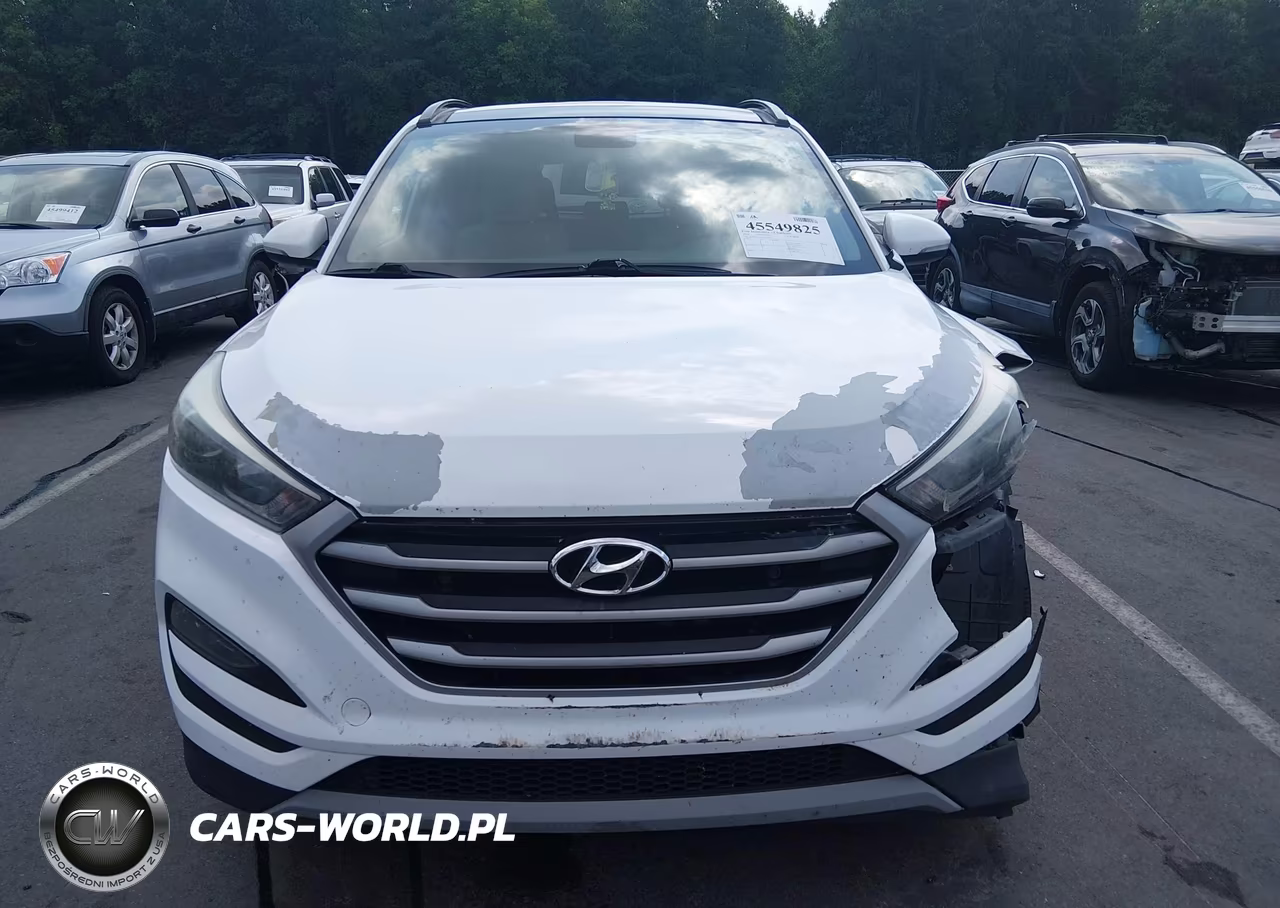 2018 Hyundai Tucson Value VIN:KM8J3CA25JU653264 - 12