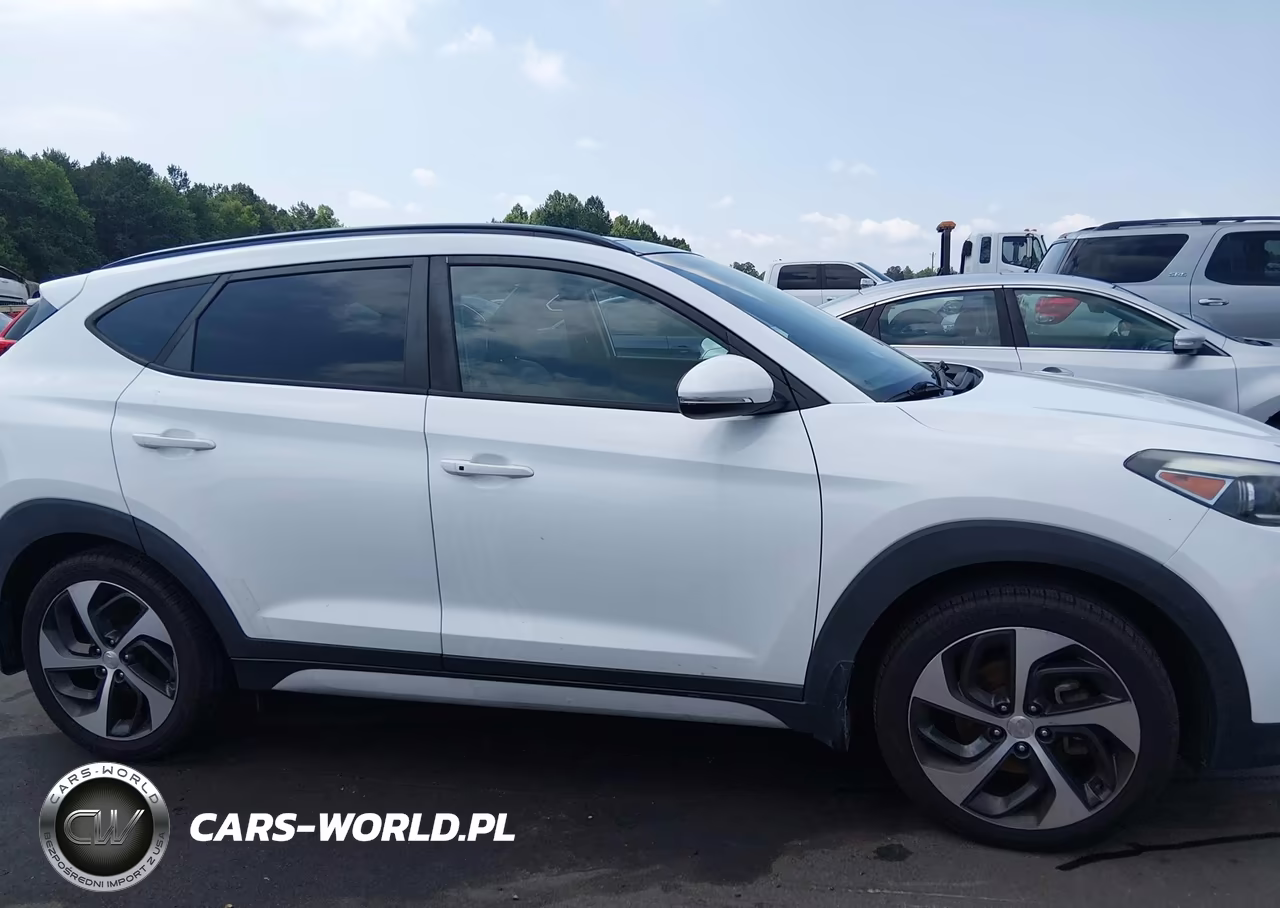 2018 Hyundai Tucson Value VIN:KM8J3CA25JU653264 - 13