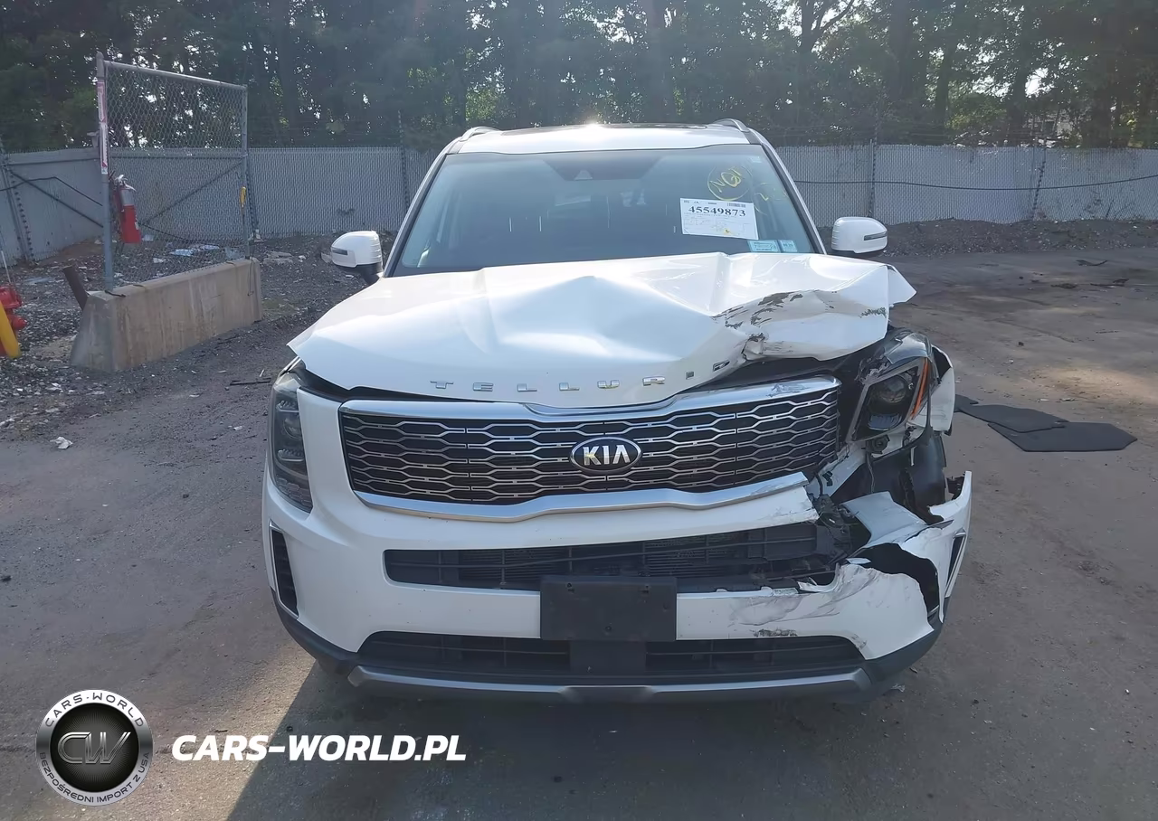 2020 Kia Telluride S VIN:5XYP6DHC6LG037927 - 11