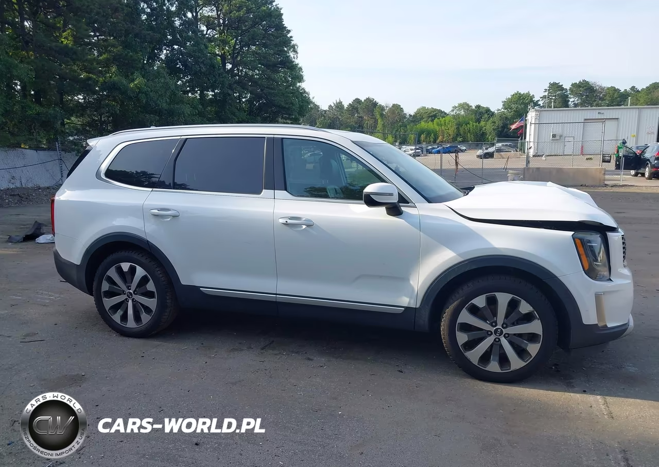 2020 Kia Telluride S VIN:5XYP6DHC6LG037927 - 12