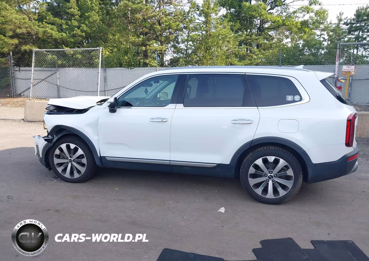 2020 Kia Telluride S VIN:5XYP6DHC6LG037927 - 13