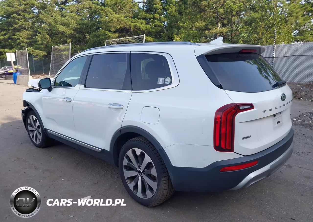 2020 Kia Telluride S VIN:5XYP6DHC6LG037927 - 3