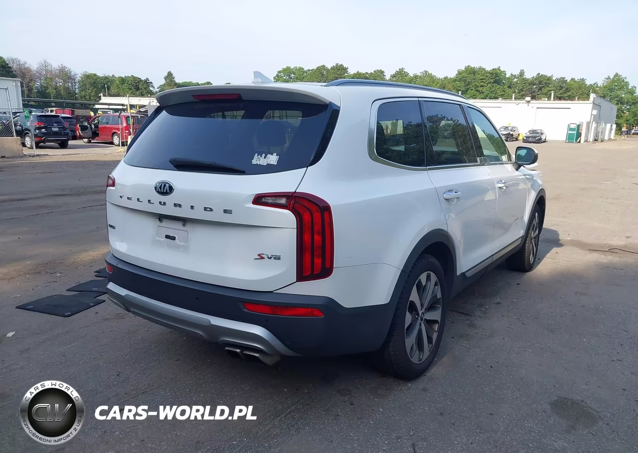 2020 Kia Telluride S VIN:5XYP6DHC6LG037927 - 4