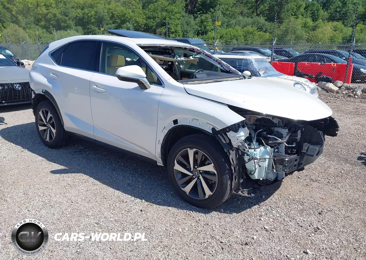 2019 Lexus Nx 300