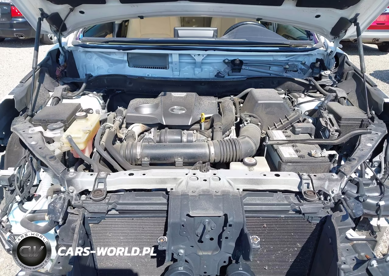 2019 Lexus Nx 300 VIN:JTJBARBZ8K2197588 - 10