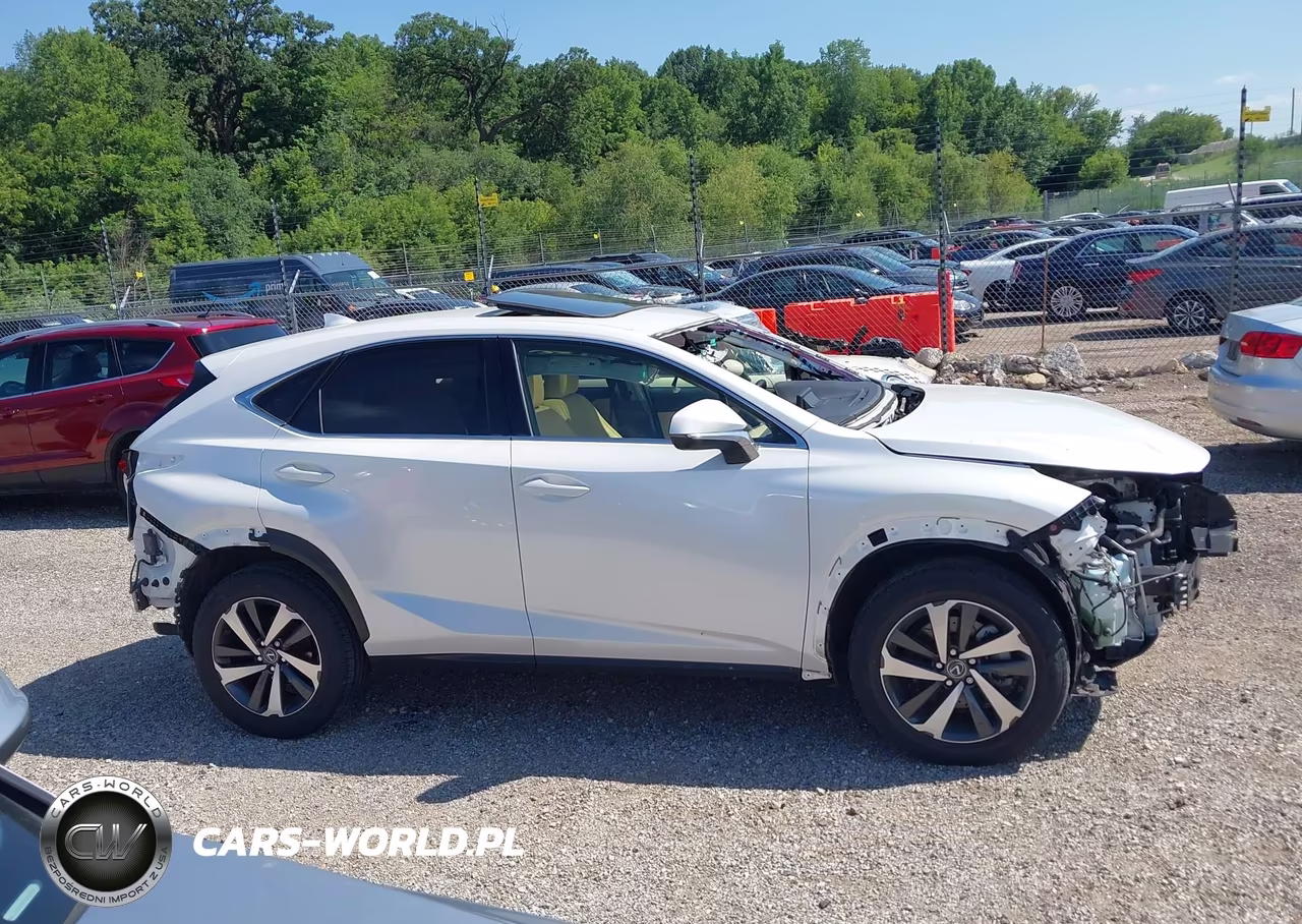 2019 Lexus Nx 300 VIN:JTJBARBZ8K2197588 - 14