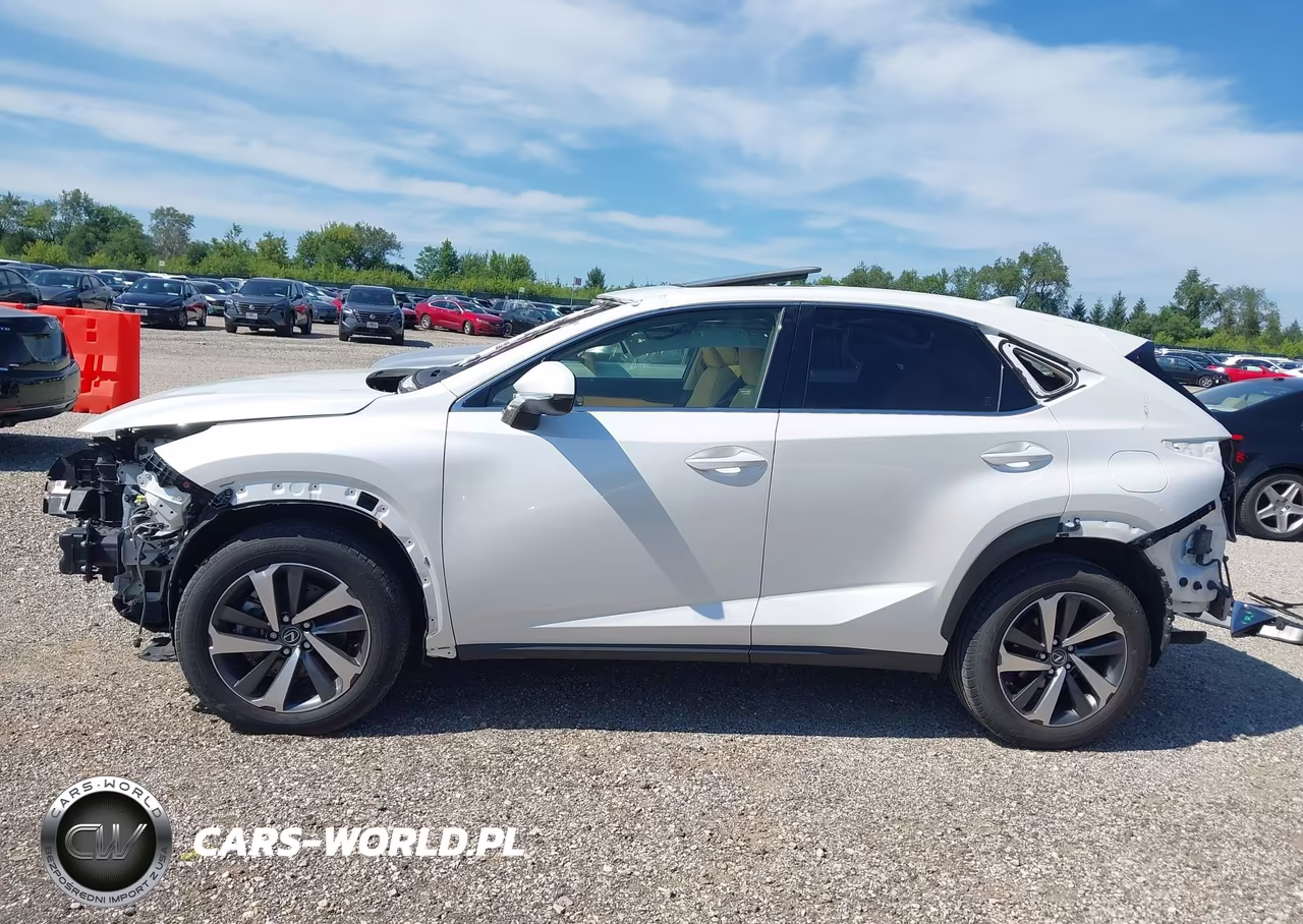 2019 Lexus Nx 300 VIN:JTJBARBZ8K2197588 - 15