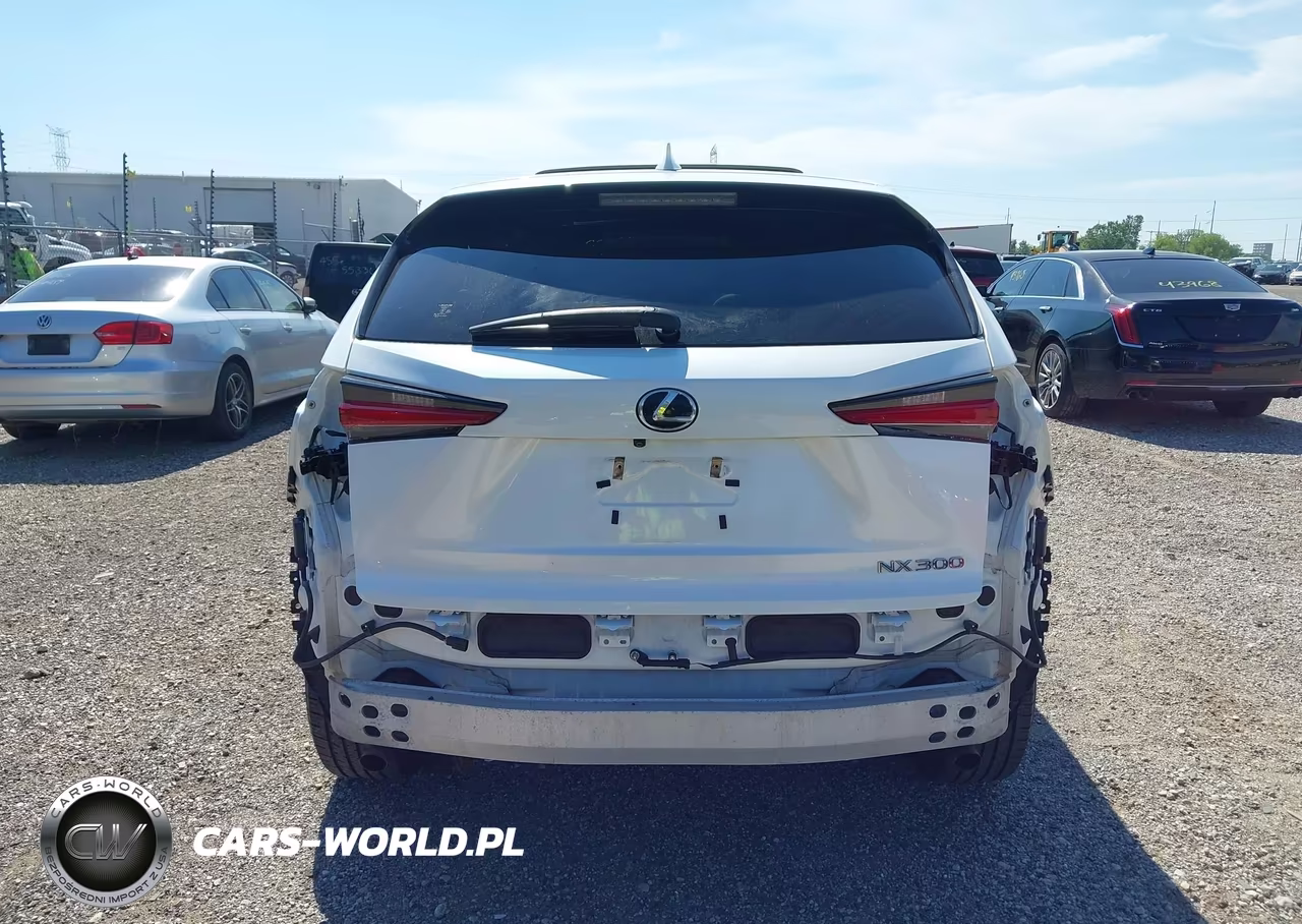 2019 Lexus Nx 300 VIN:JTJBARBZ8K2197588 - 17