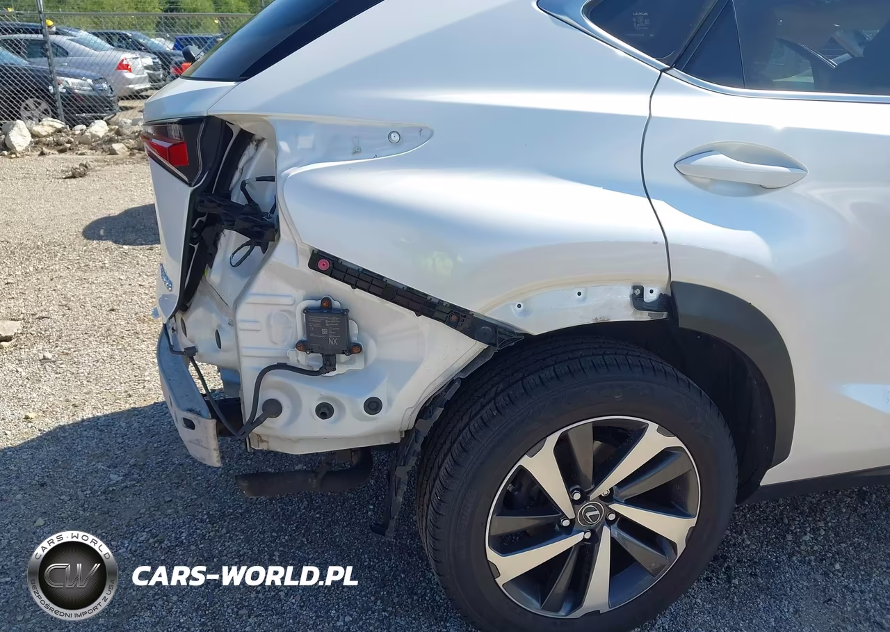 2019 Lexus Nx 300 VIN:JTJBARBZ8K2197588 - 18