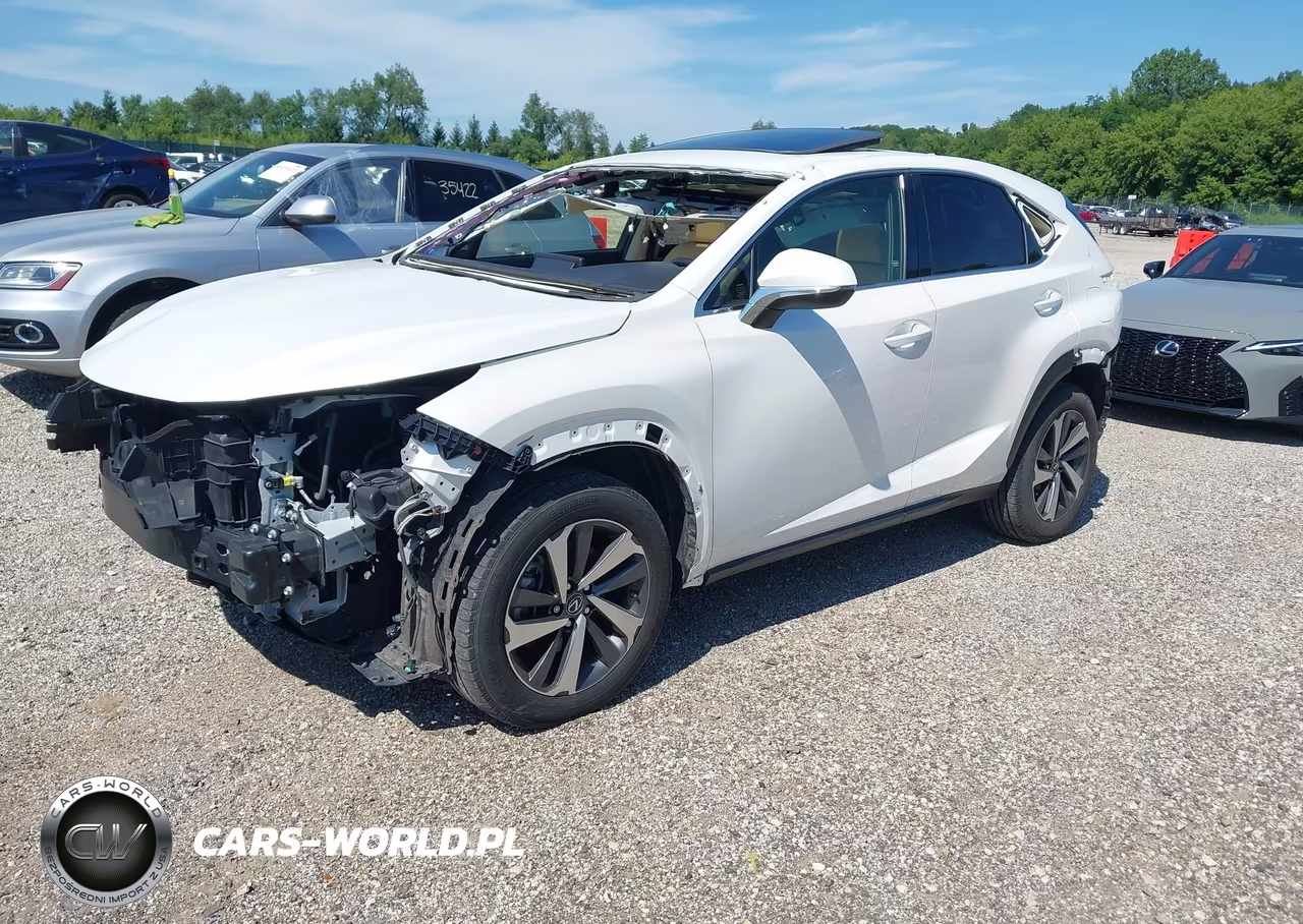 2019 Lexus Nx 300 VIN:JTJBARBZ8K2197588 - 2