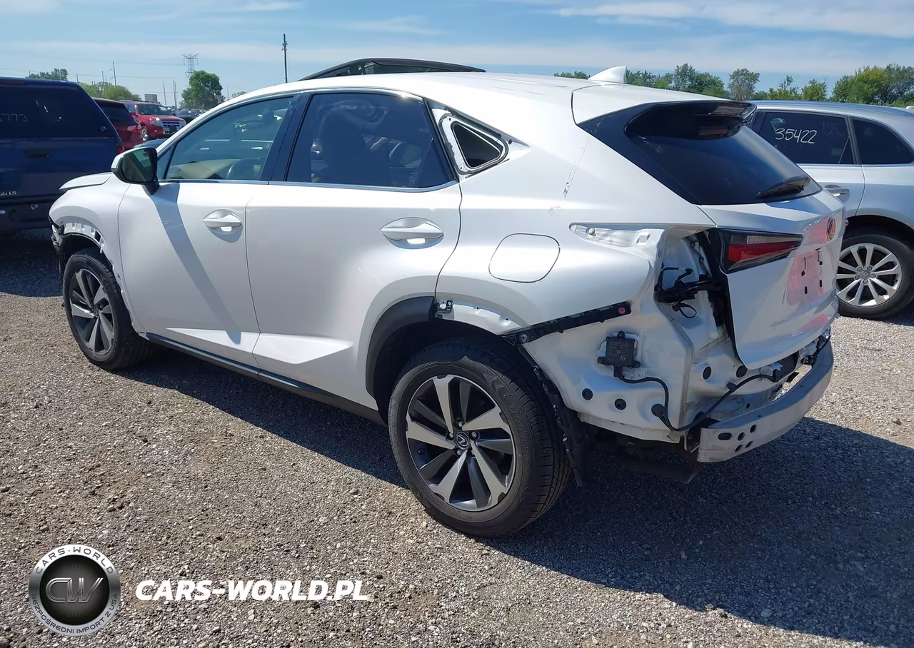 2019 Lexus Nx 300 VIN:JTJBARBZ8K2197588 - 3