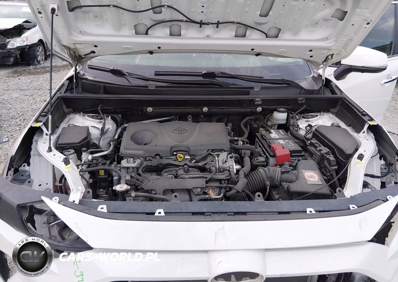 2019 Toyota Rav4 Limited VIN:JTMN1RFV2KD521064 - 10