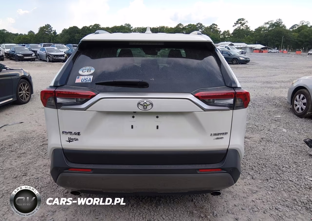 2019 Toyota Rav4 Limited VIN:JTMN1RFV2KD521064 - 17