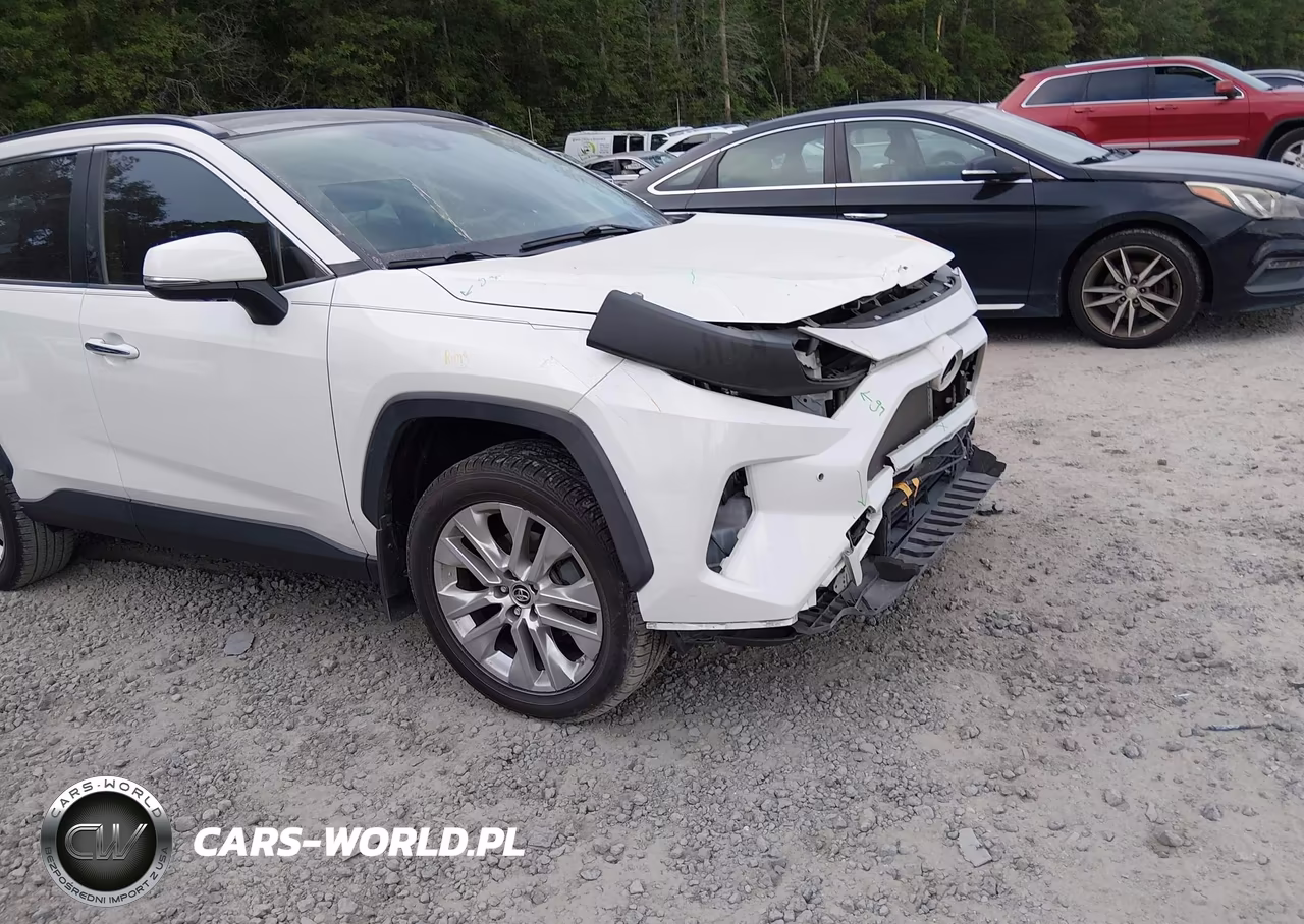 2019 Toyota Rav4 Limited VIN:JTMN1RFV2KD521064 - 19