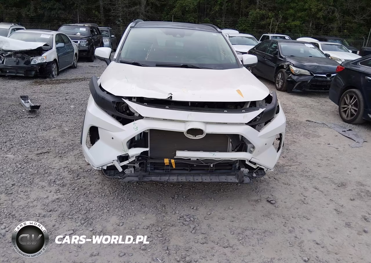 2019 Toyota Rav4 Limited VIN:JTMN1RFV2KD521064 - 20