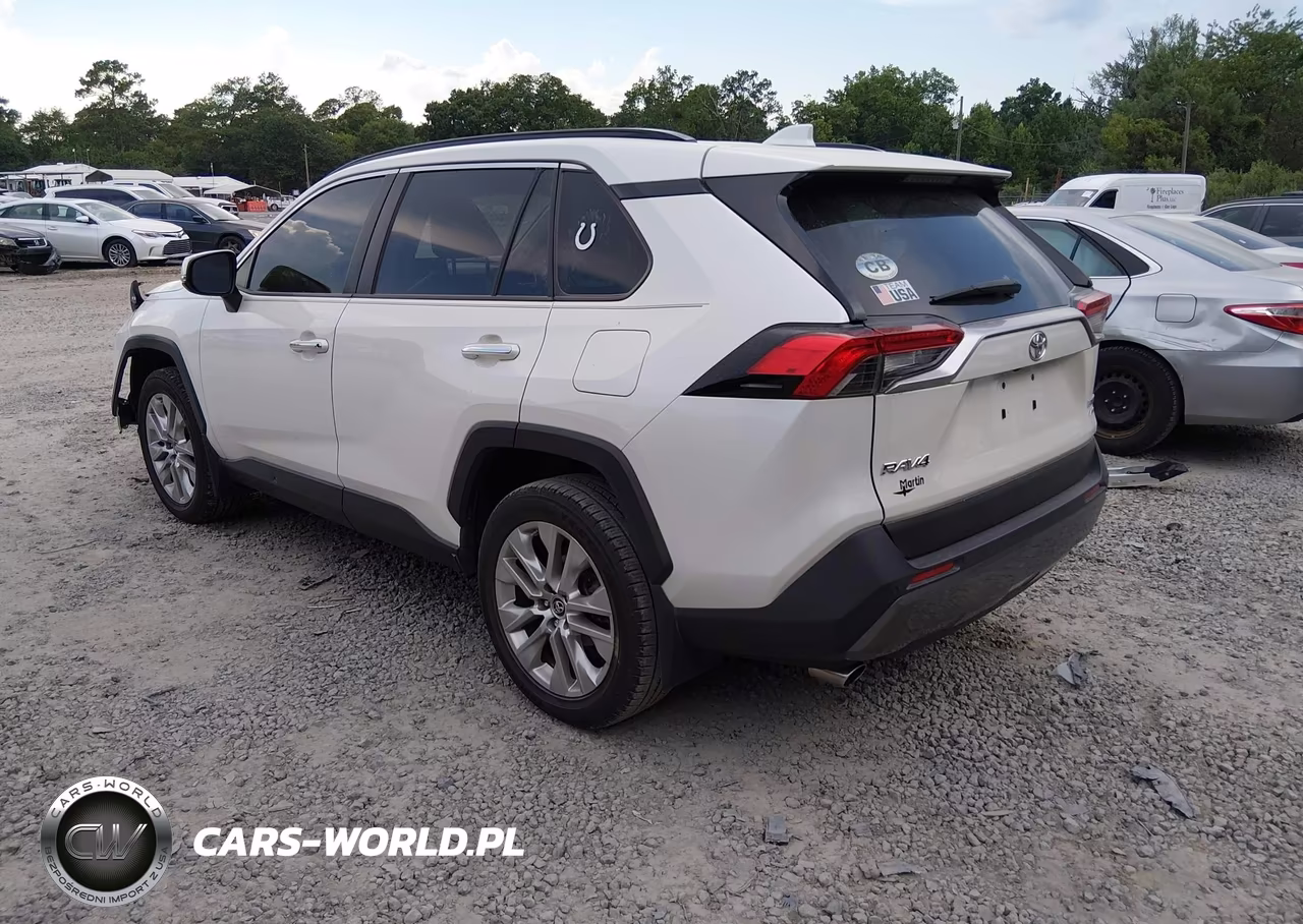 2019 Toyota Rav4 Limited VIN:JTMN1RFV2KD521064 - 3