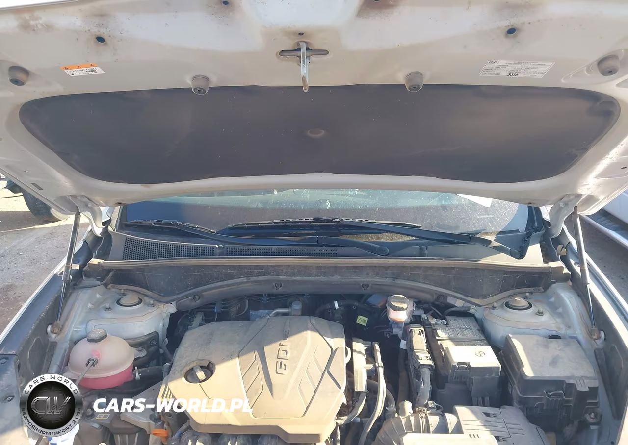 2023 Hyundai Santa Fe Sel VIN:5NMS34AJ7PH620238 - 10