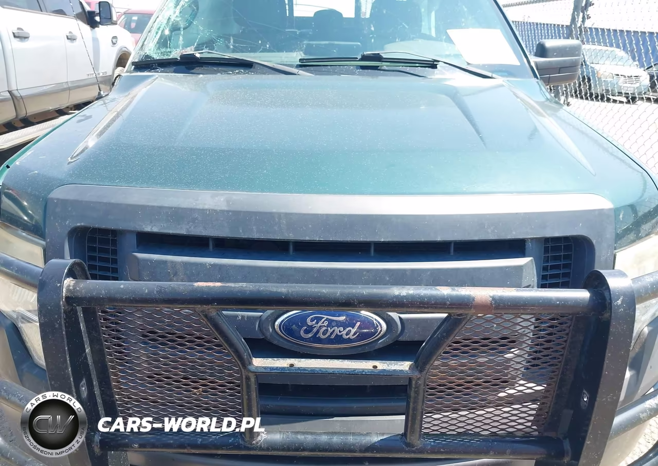 2011 Ford F-150 Fx4-King Ranch-Lariat-Platinum-Xl-Xlt VIN:1FTFW1EF4BKD45423 - 12