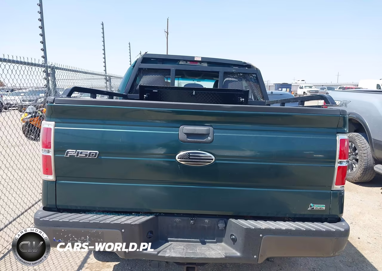 2011 Ford F-150 Fx4-King Ranch-Lariat-Platinum-Xl-Xlt VIN:1FTFW1EF4BKD45423 - 16