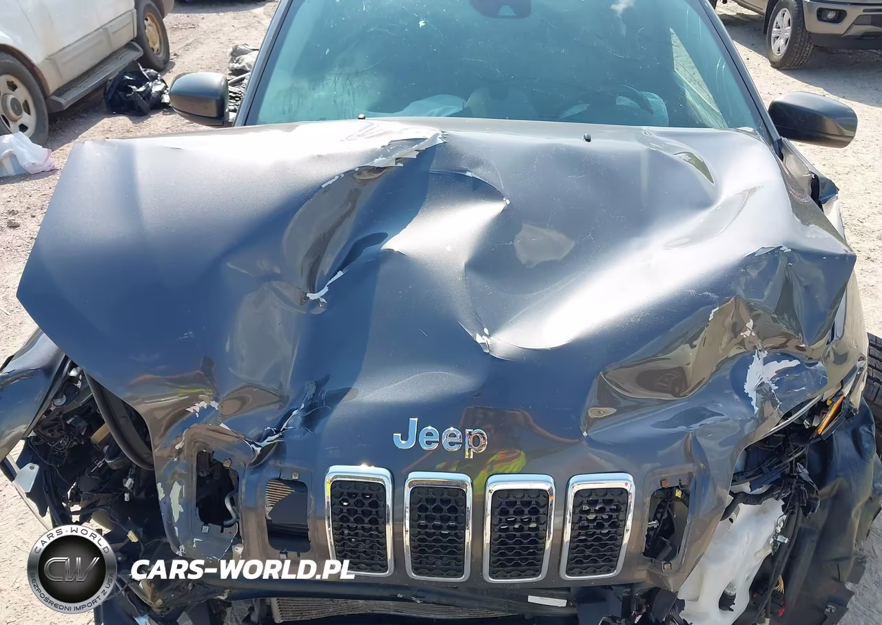 2019 Jeep Cherokee Overland 4X4 VIN:1C4PJMJN9KD233528 - 18