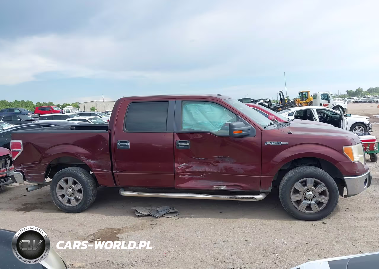 2010 Ford F-150 Fx2 Sport-Xl-Xlt VIN:1FTEW1C89AFB10054 - 13