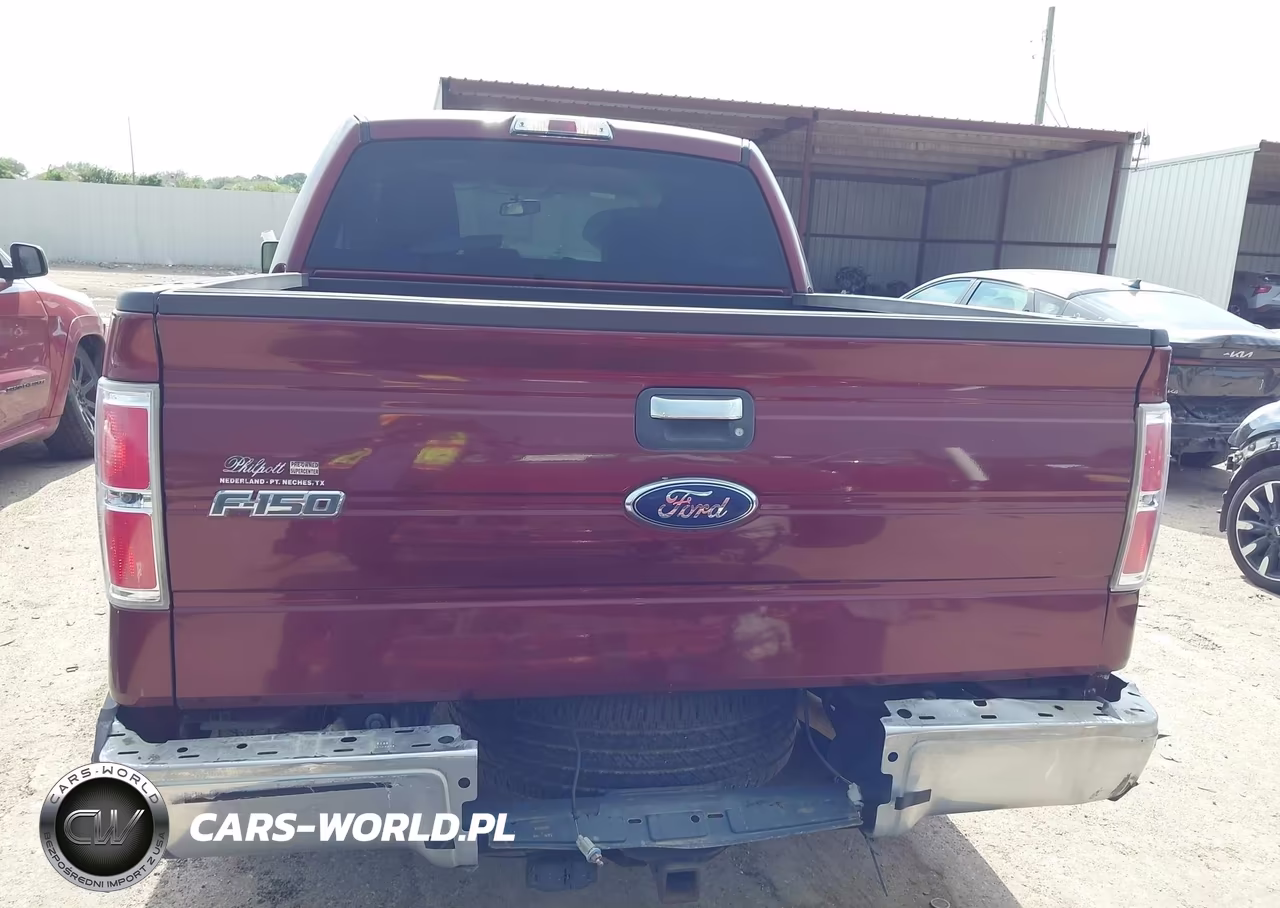 2010 Ford F-150 Fx2 Sport-Xl-Xlt VIN:1FTEW1C89AFB10054 - 16