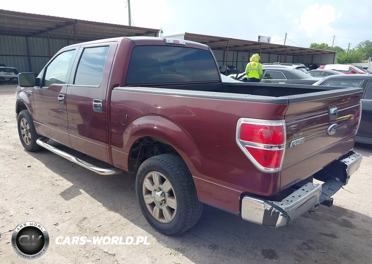 2010 Ford F-150 Fx2 Sport-Xl-Xlt VIN:1FTEW1C89AFB10054 - 3