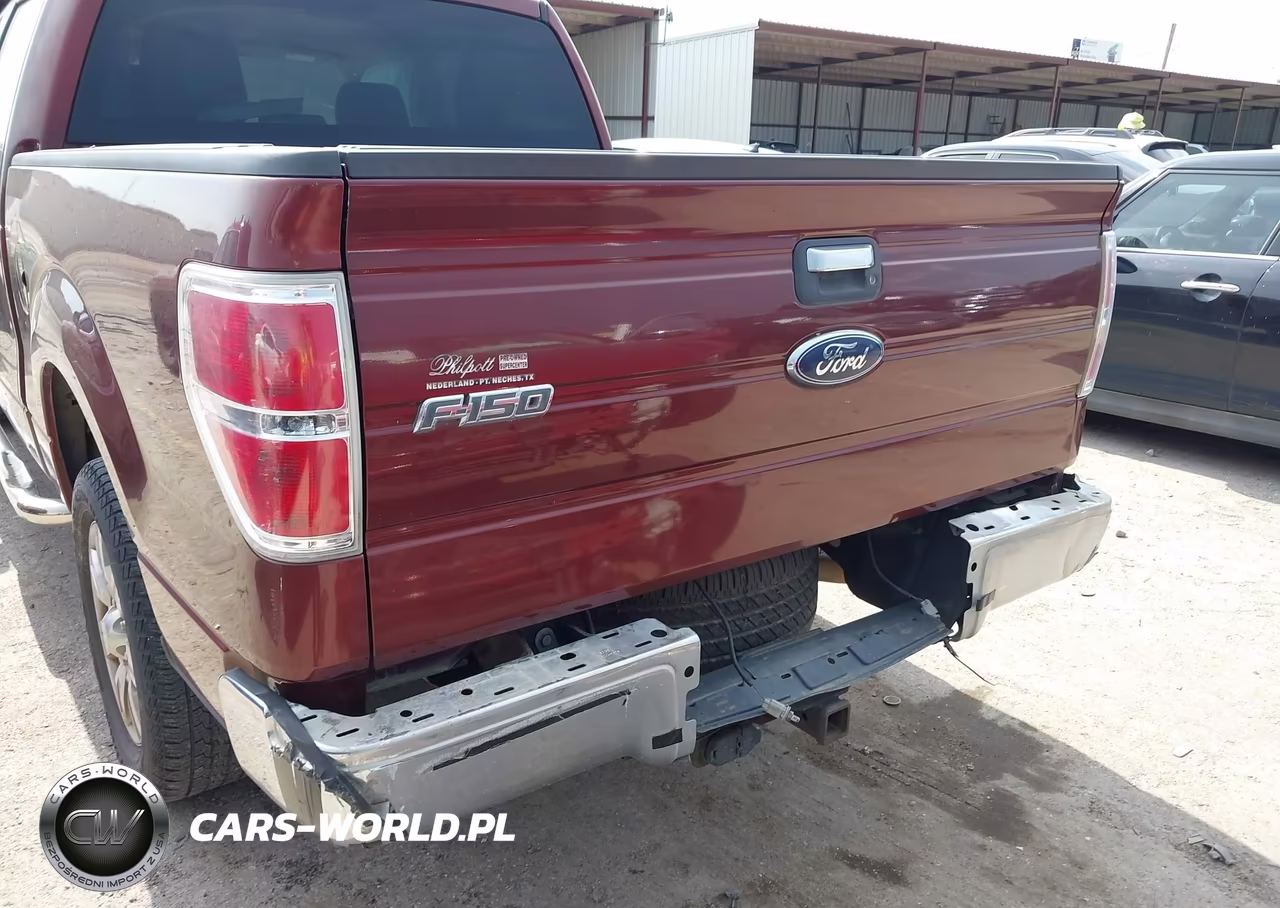 2010 Ford F-150 Fx2 Sport-Xl-Xlt VIN:1FTEW1C89AFB10054 - 6