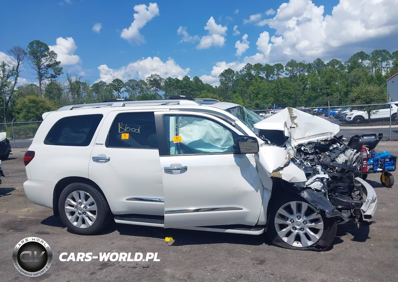 2018 Toyota Sequoia Platinum VIN:5TDDY5G18JS162544 - 13