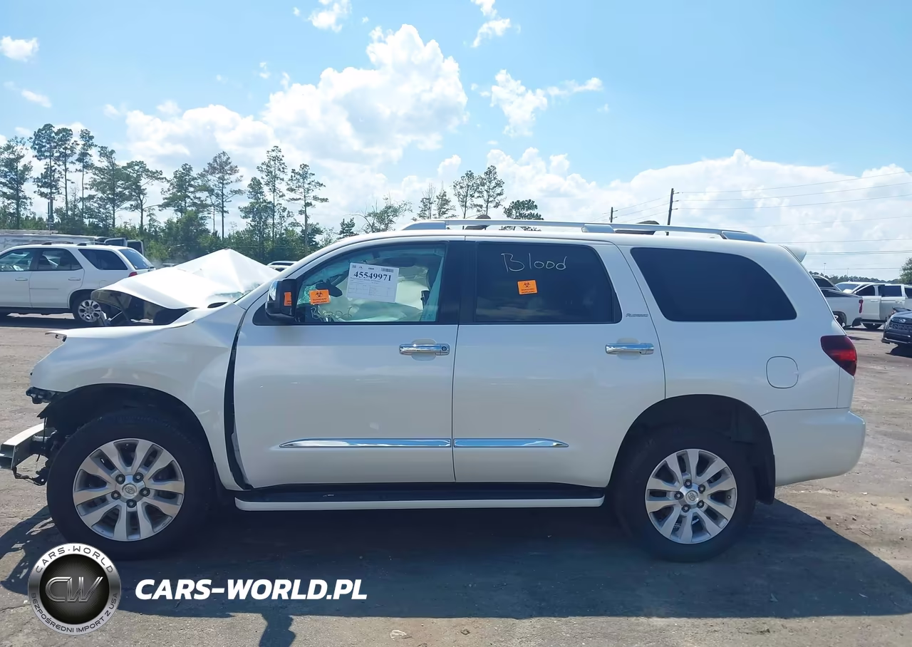 2018 Toyota Sequoia Platinum VIN:5TDDY5G18JS162544 - 14