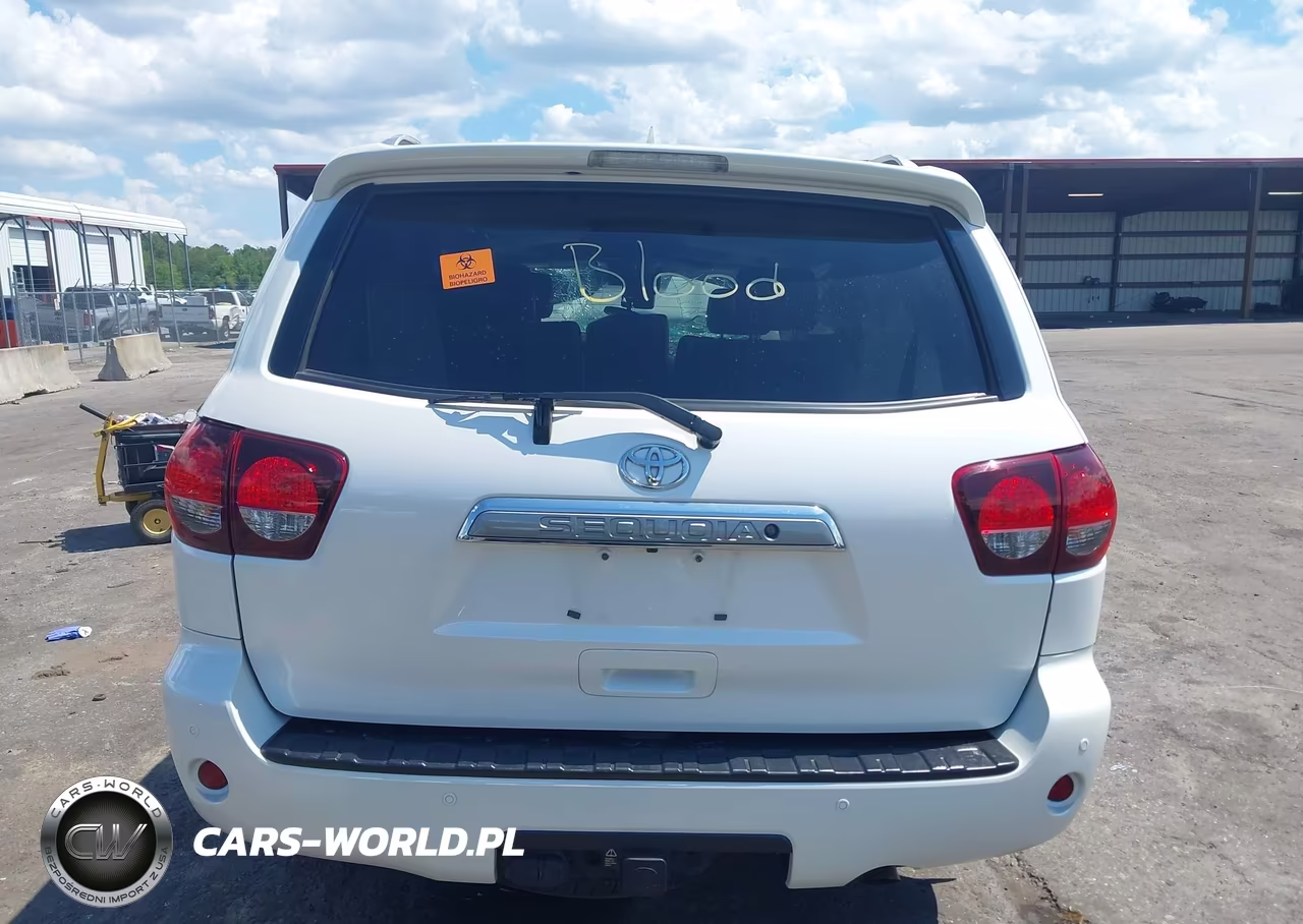 2018 Toyota Sequoia Platinum VIN:5TDDY5G18JS162544 - 16