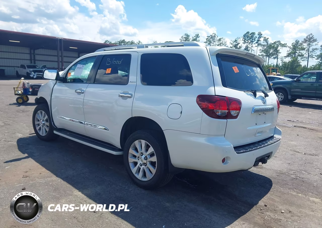 2018 Toyota Sequoia Platinum VIN:5TDDY5G18JS162544 - 3
