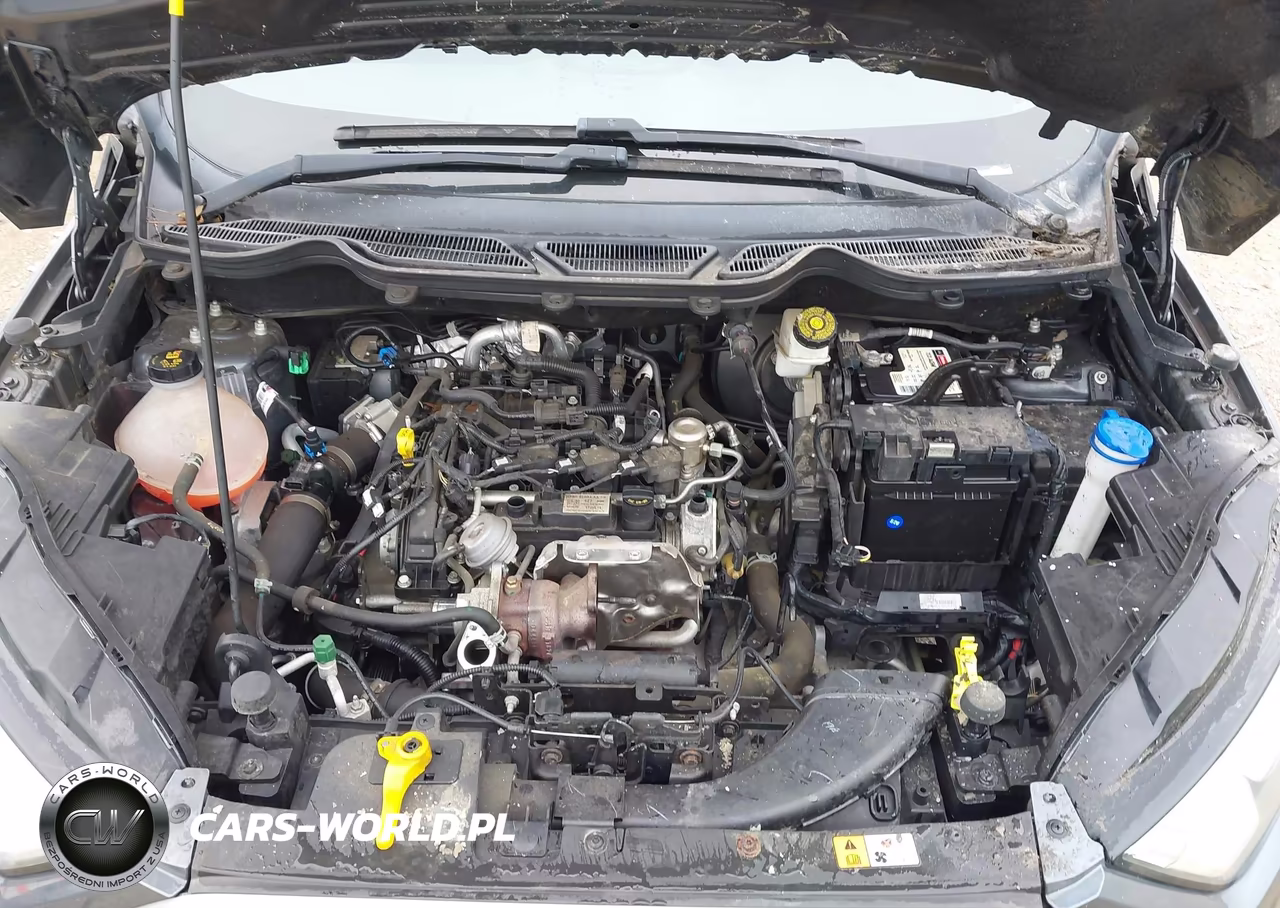 2020 Ford Ecosport Se VIN:MAJ3S2GE8LC327839 - 10