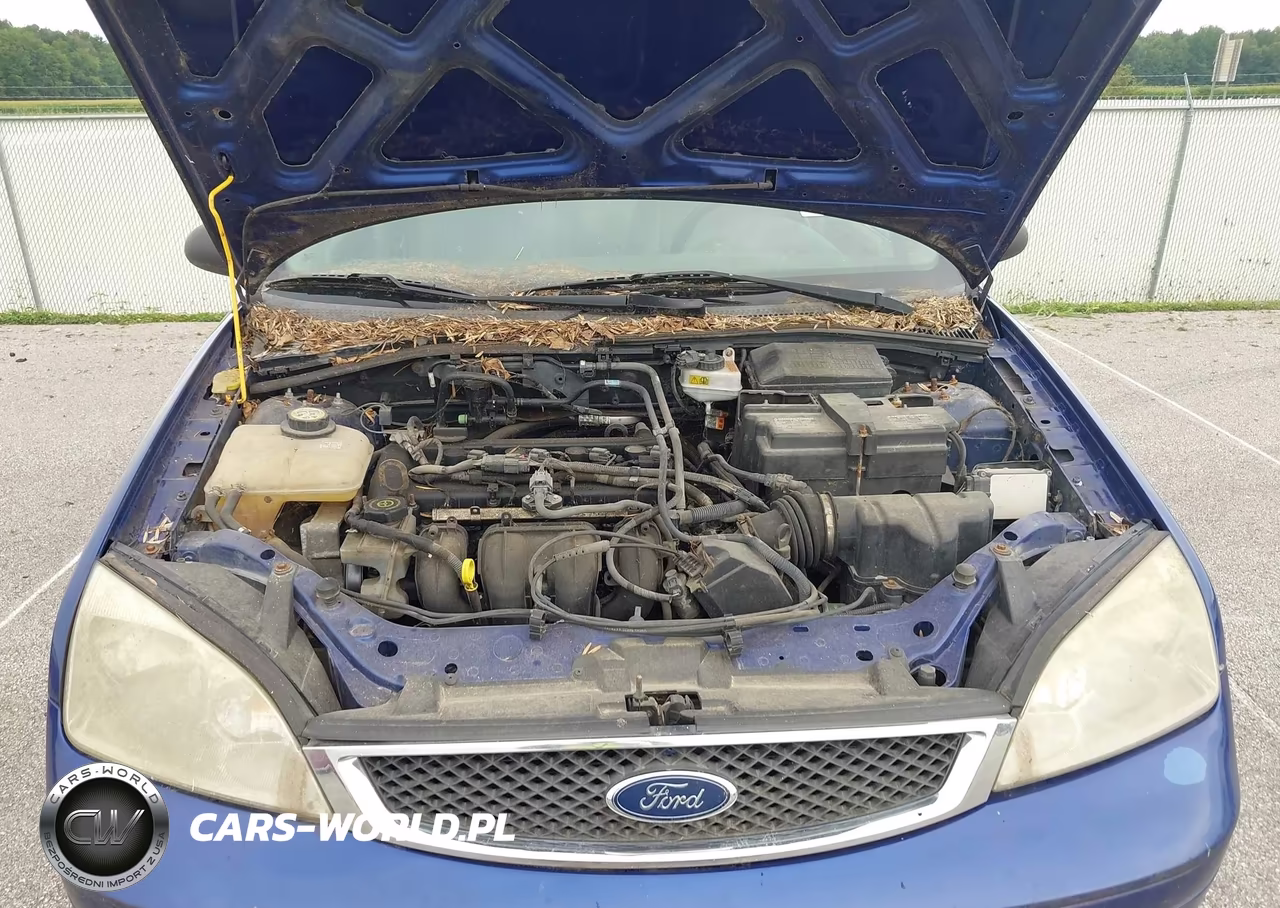 2006 Ford Focus Zx4 VIN:1FAHP34N66W148168 - 10