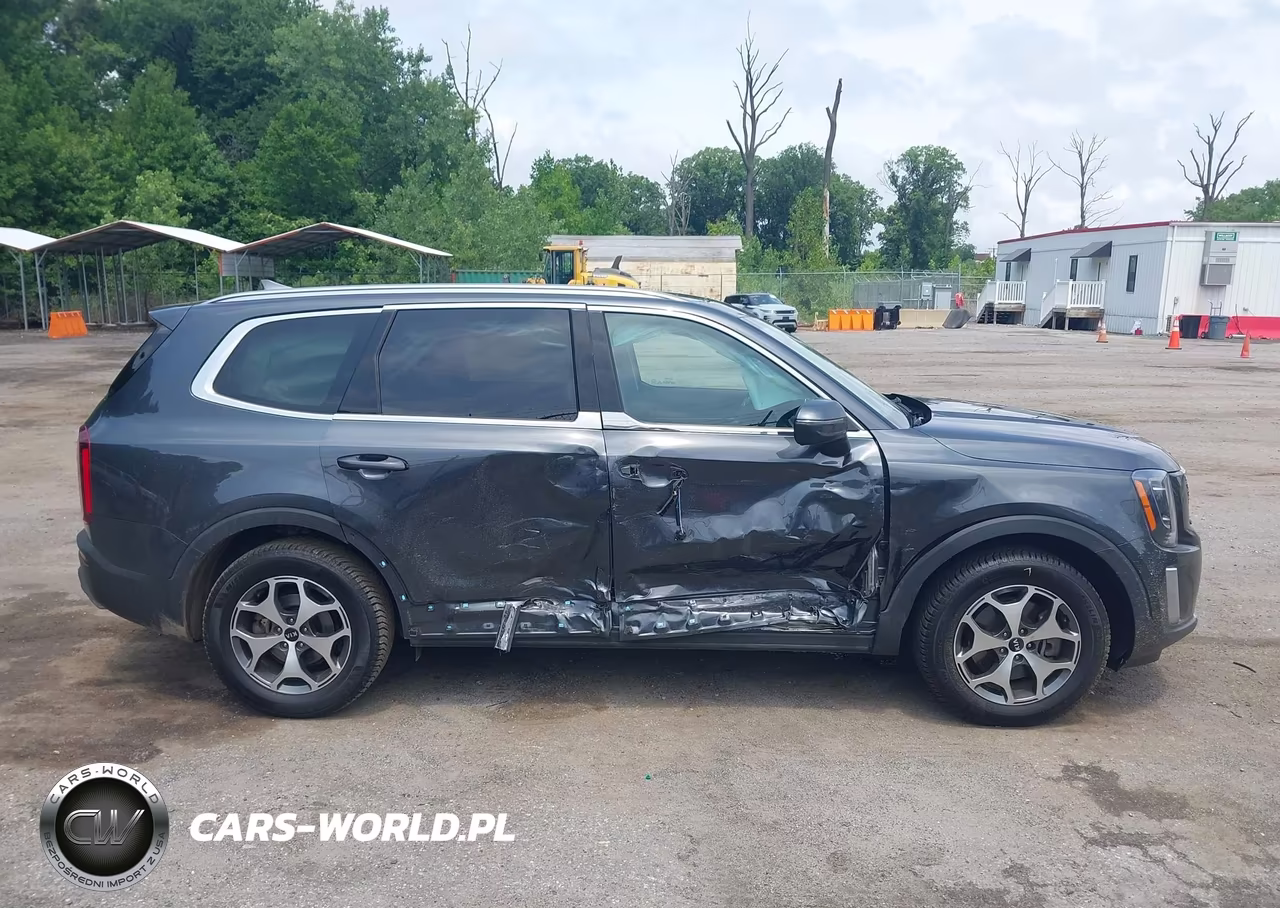 2021 Kia Telluride Ex VIN:5XYP3DHC0MG159970 - 13