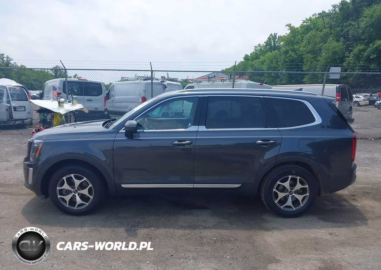 2021 Kia Telluride Ex VIN:5XYP3DHC0MG159970 - 14