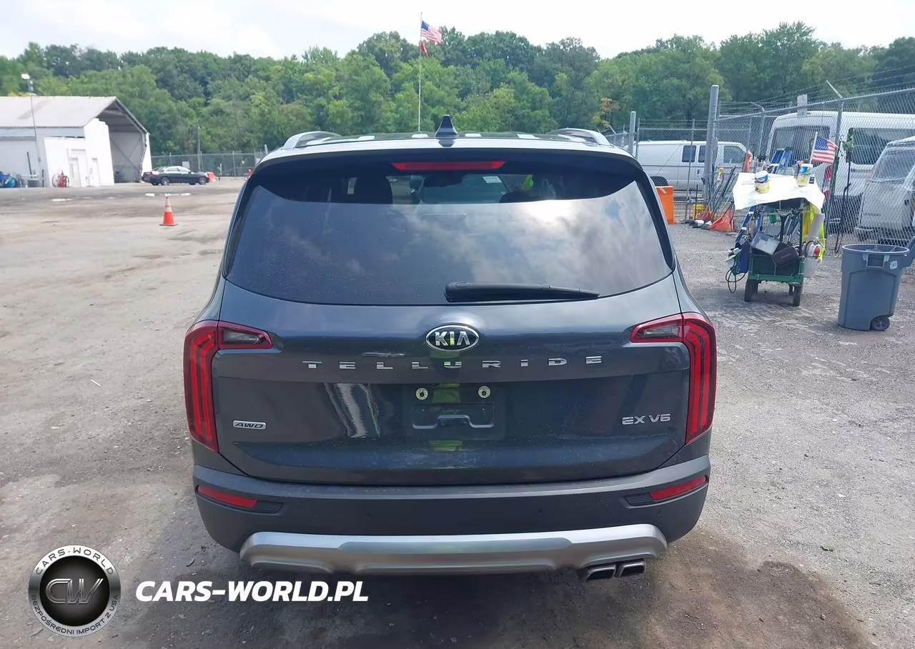 2021 Kia Telluride Ex VIN:5XYP3DHC0MG159970 - 16