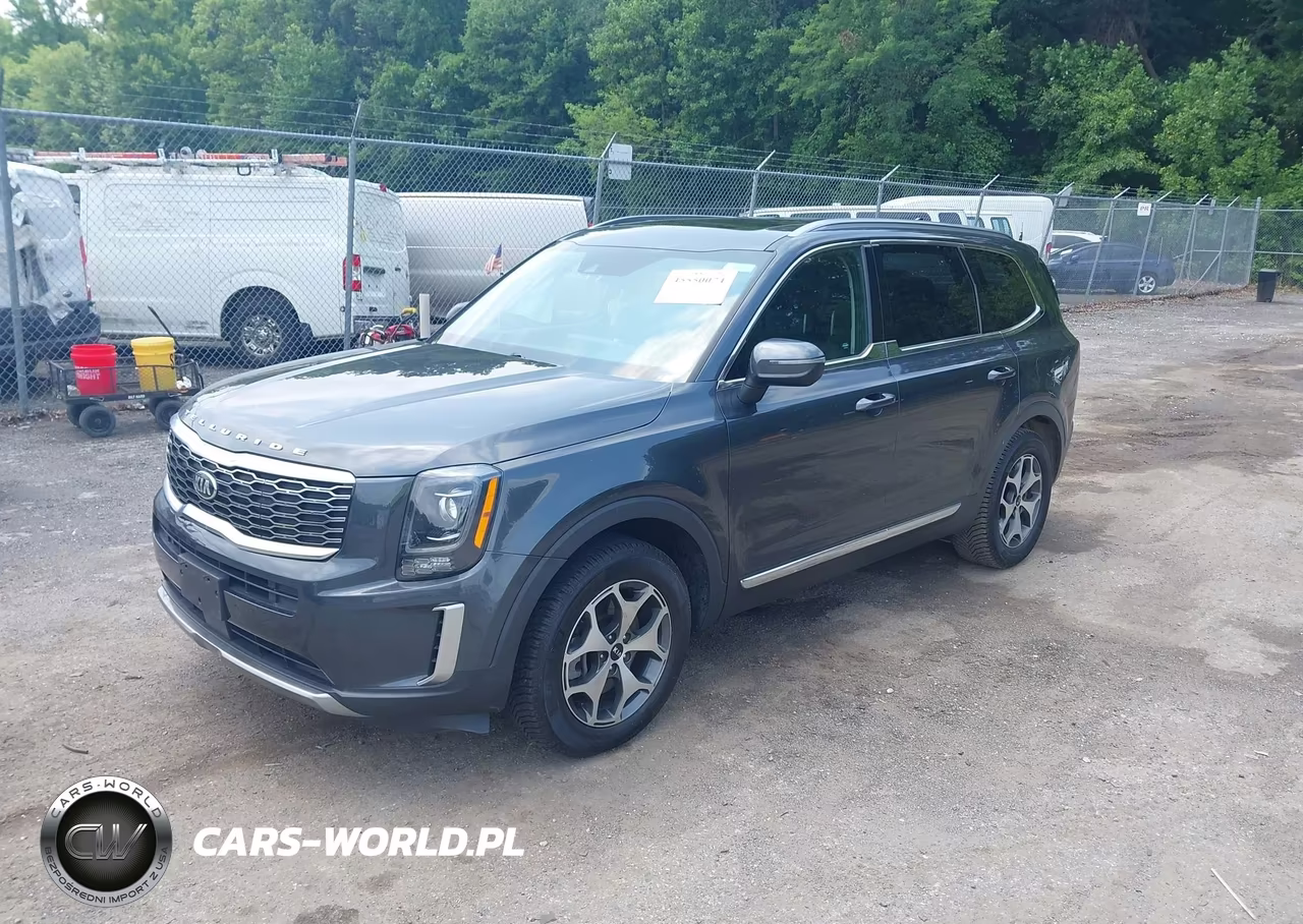 2021 Kia Telluride Ex VIN:5XYP3DHC0MG159970 - 2