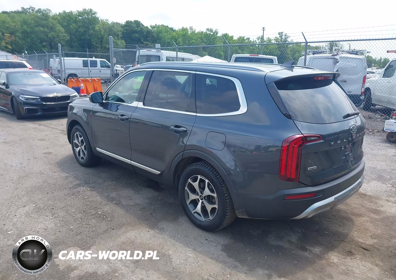 2021 Kia Telluride Ex VIN:5XYP3DHC0MG159970 - 3
