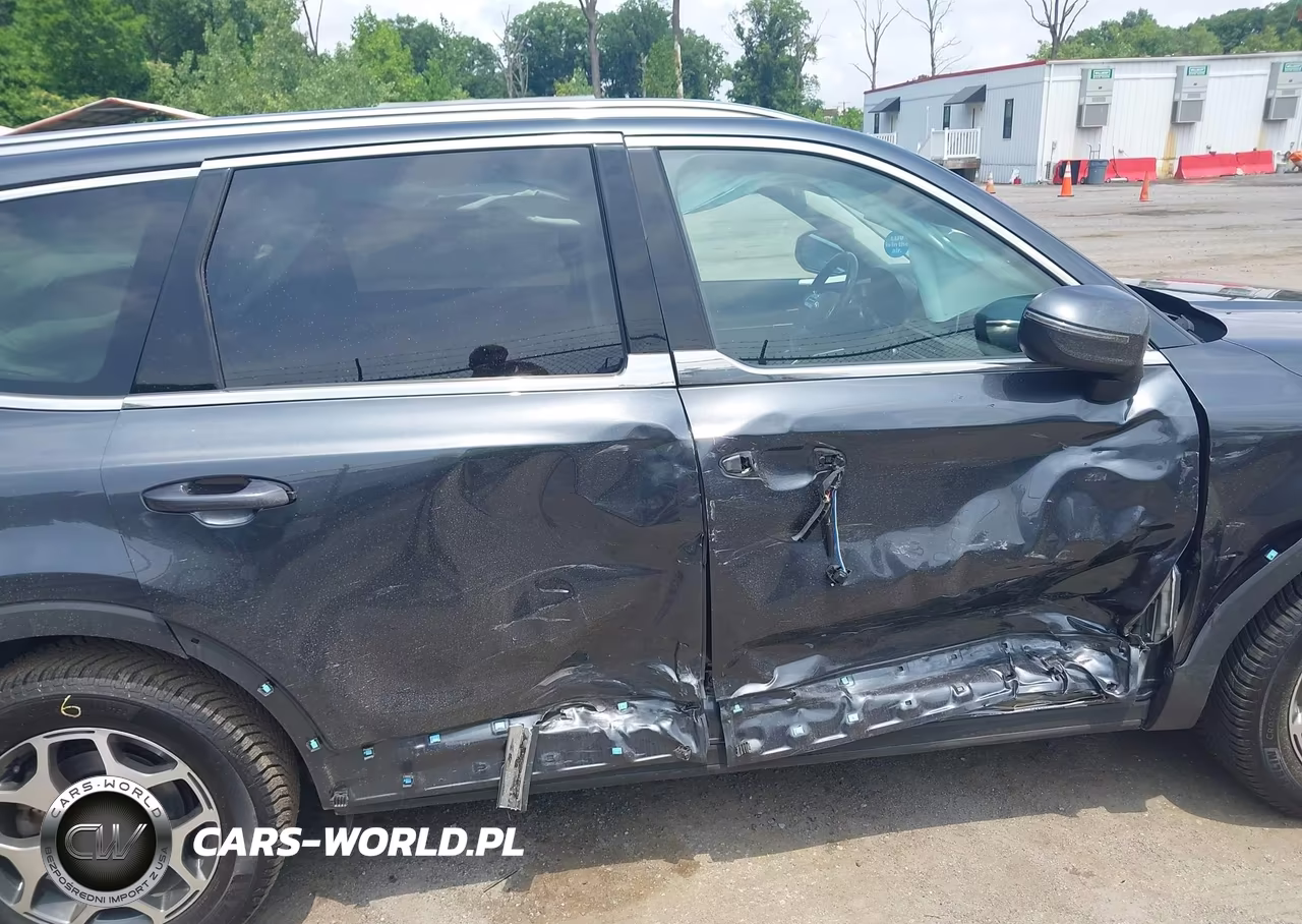 2021 Kia Telluride Ex VIN:5XYP3DHC0MG159970 - 6