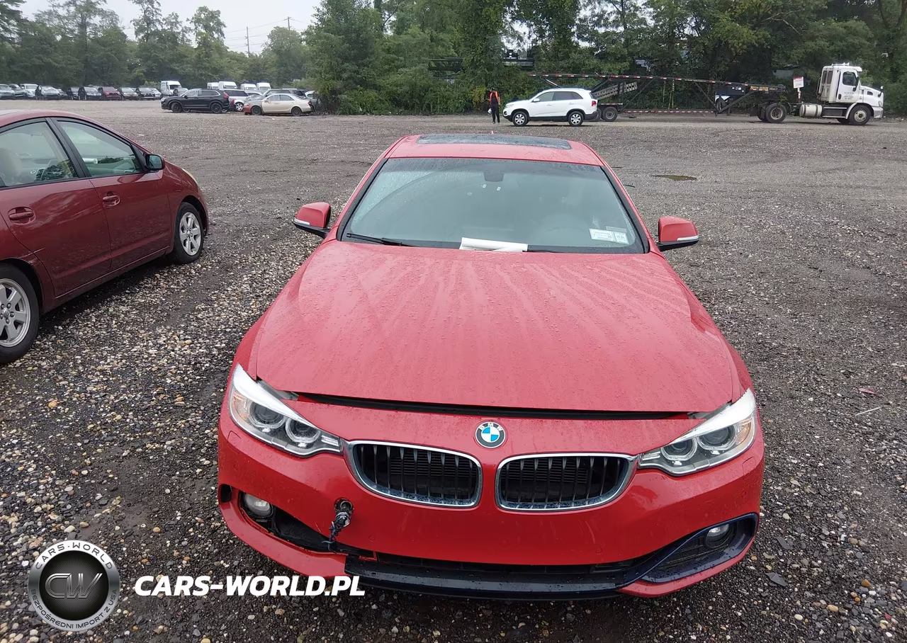 2016 BMW 428I Gran Coupe VIN:WBA4A9C53GGL89421 - 12